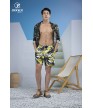 Quần thể thao nam MSC-2028-02 Vàng